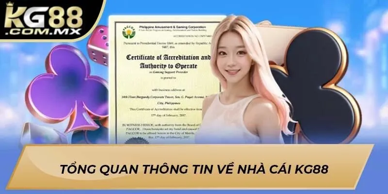 Tổng quan thông tin về nhà cái KG88 Tổng quan thông tin về nhà cái KG88