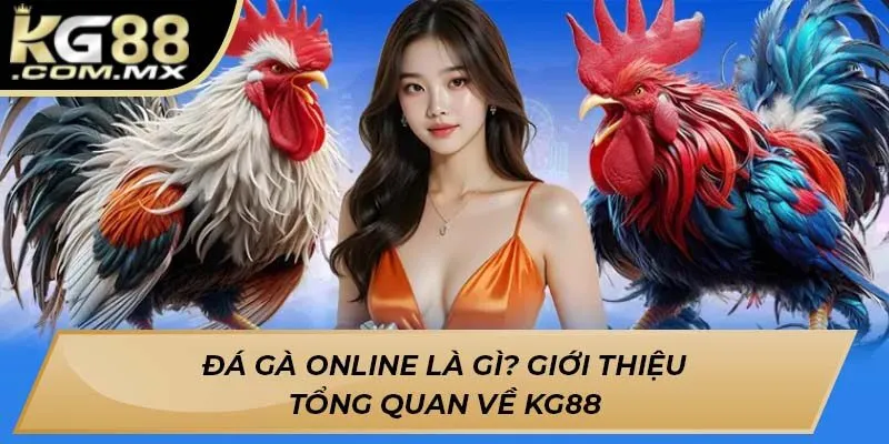 Đá gà online là gì? giới thiệu tổng quan về KG88 Đá gà online là gì? giới thiệu tổng quan về KG88