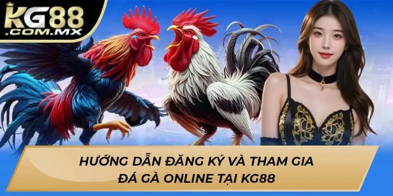 Hướng dẫn đăng ký và tham gia đá gà online tại KG88 Hướng dẫn đăng ký và tham gia đá gà online tại KG88