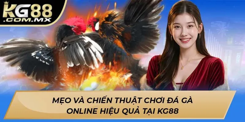 Mẹo và chiến thuật chơi đá gà online hiệu quả tại KG88 Mẹo và chiến thuật chơi đá gà online hiệu quả tại KG88